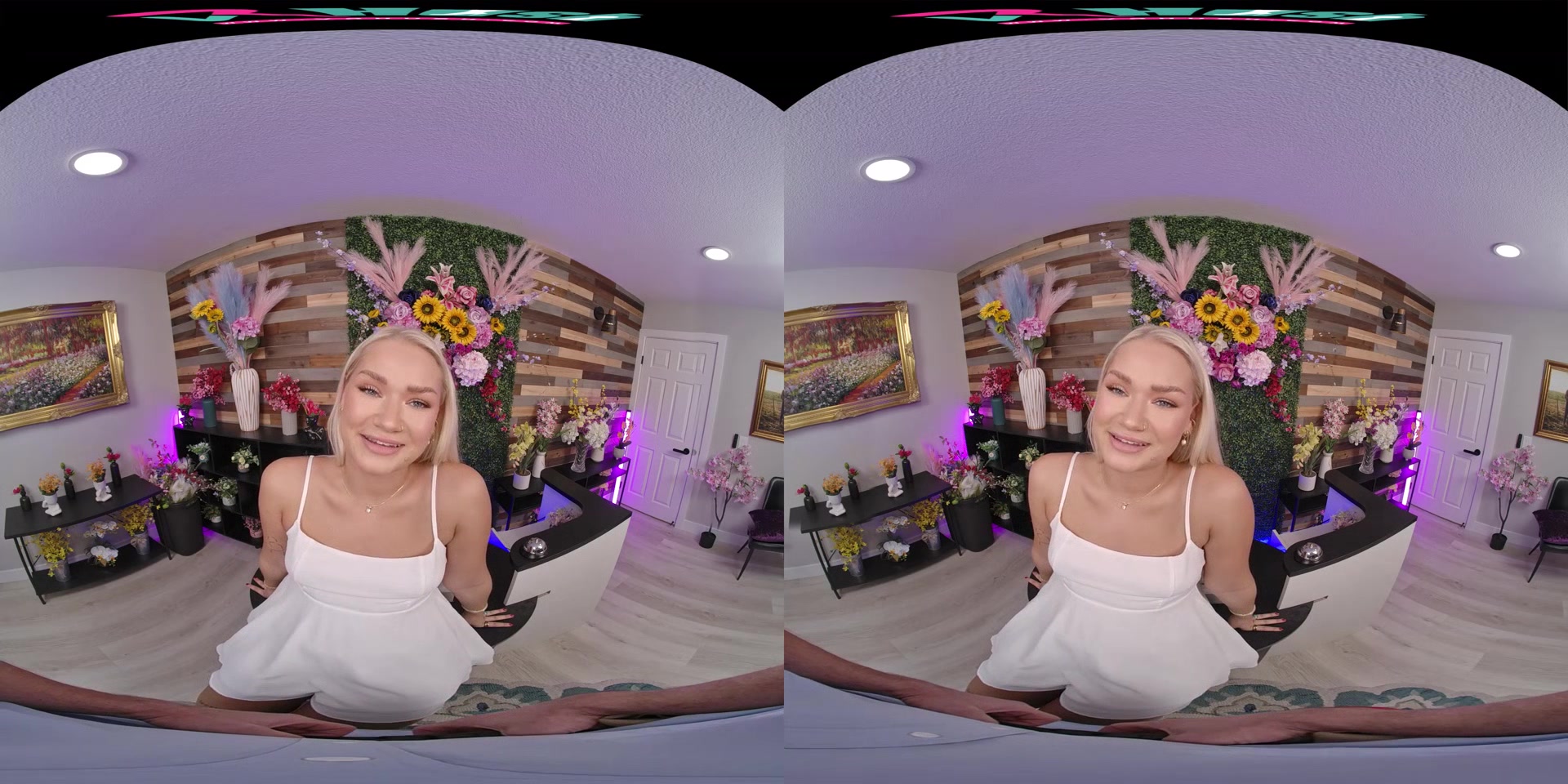 Harley King & Mike Mancini - VR Porn Video