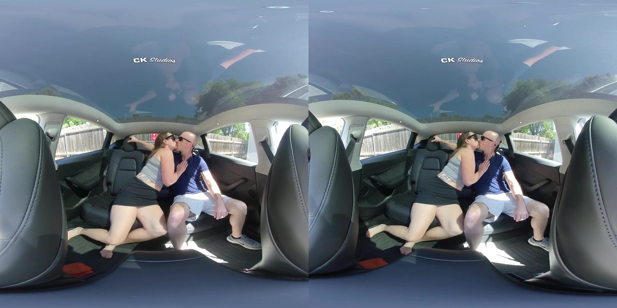 Sex in the Back Seat NO AUDIO