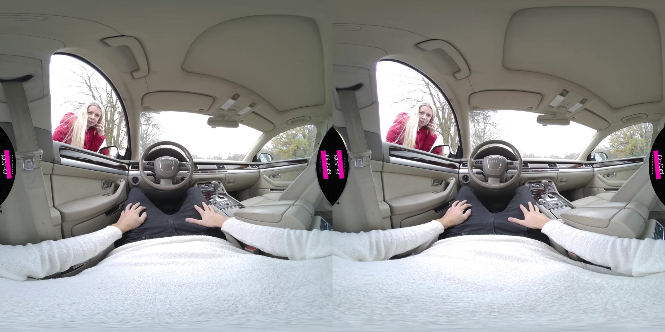 Sex In The Car With Adriana