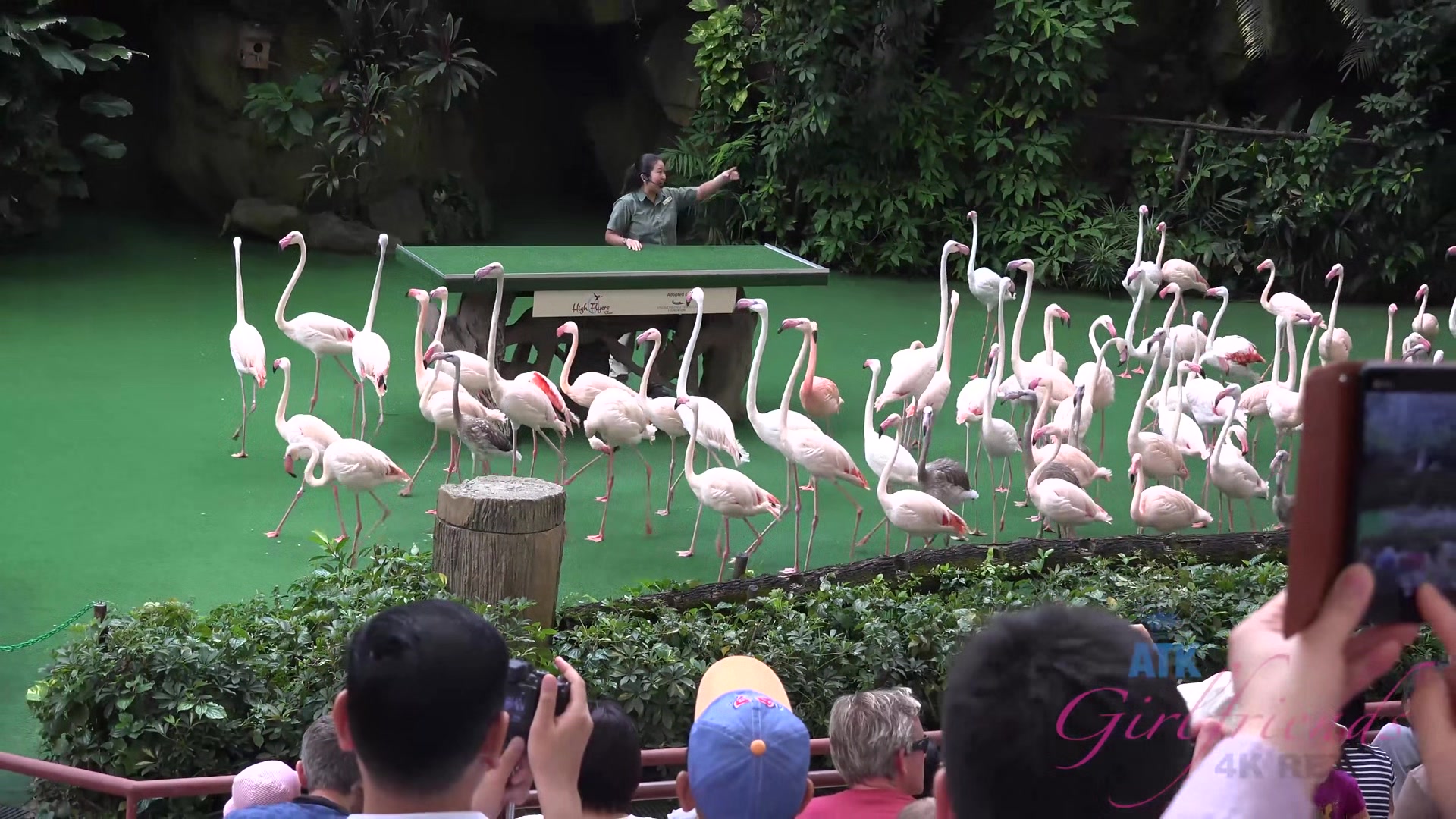 Virtual Vacation In Singapore With Emma Evins Part 3