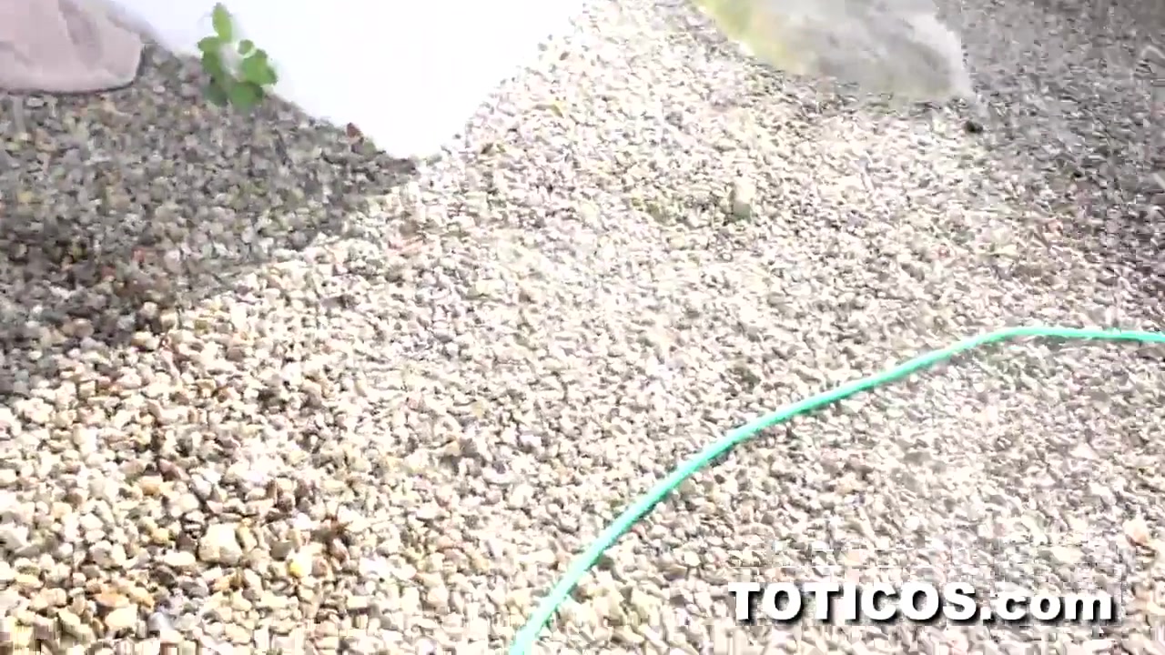 Toticos Yoelisa - Toticos