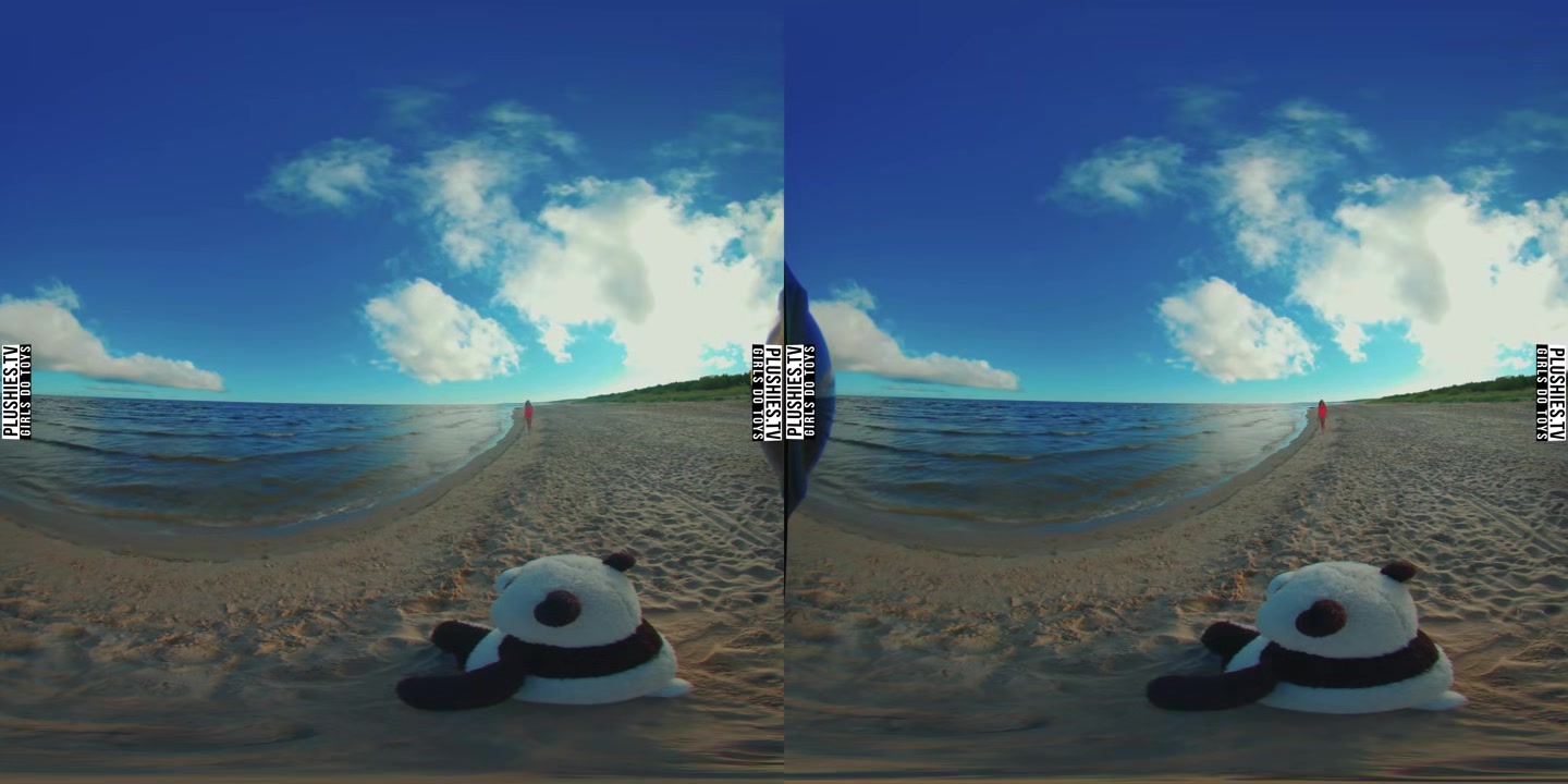Beach Day In Poland - PlushiesVR