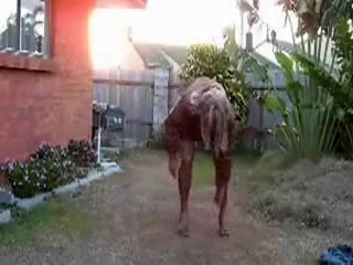 Hottest amateur shemale clip with Outdoor, Solo scenes
