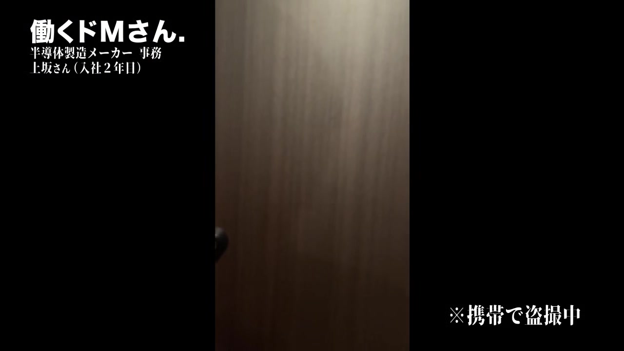 0010738_盗撮 撮影 ハメ潮などが含まれている