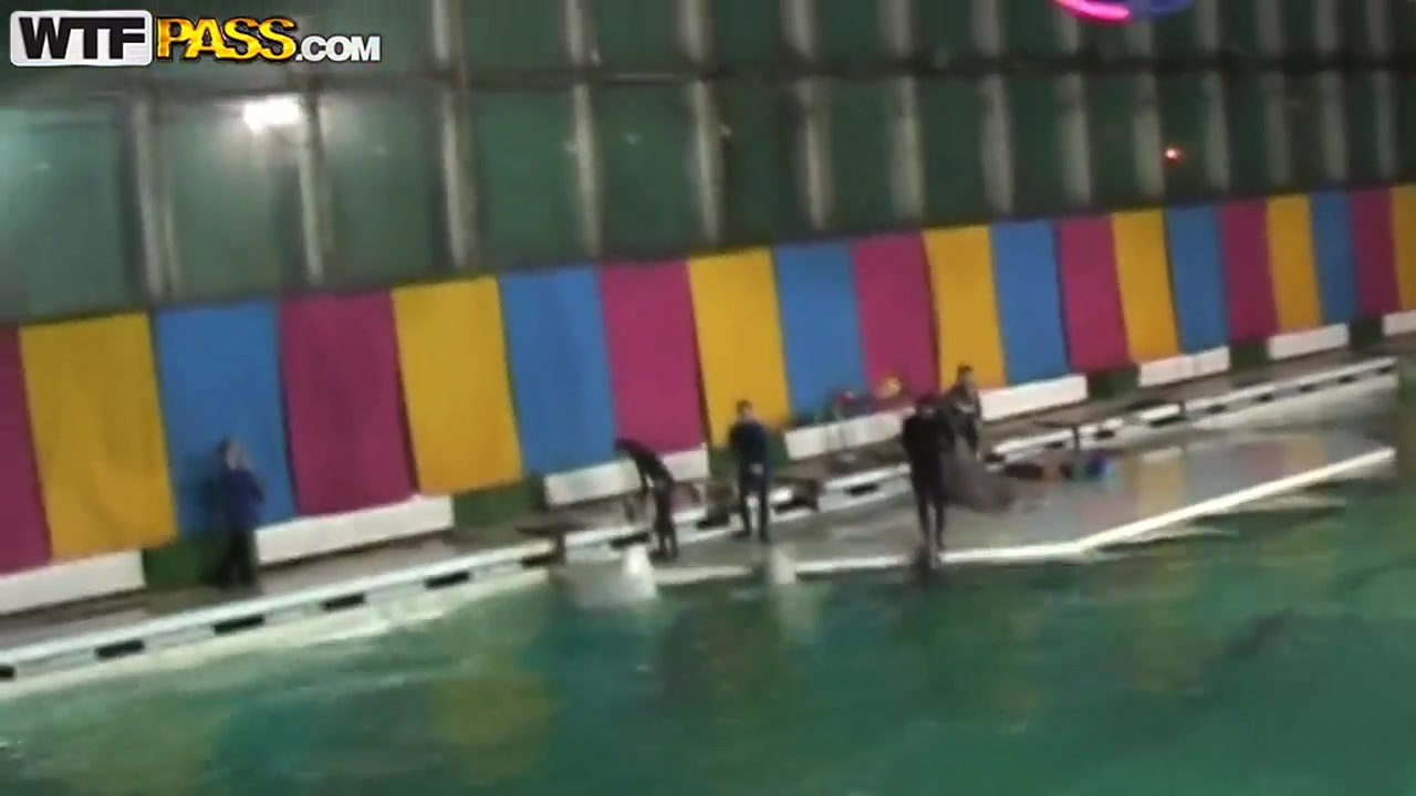 Cute and young brunette babe Natasha is getting seduced by her workmate at dolphinarium for naughty fuck.