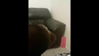 Obedient ebony knows how to please
