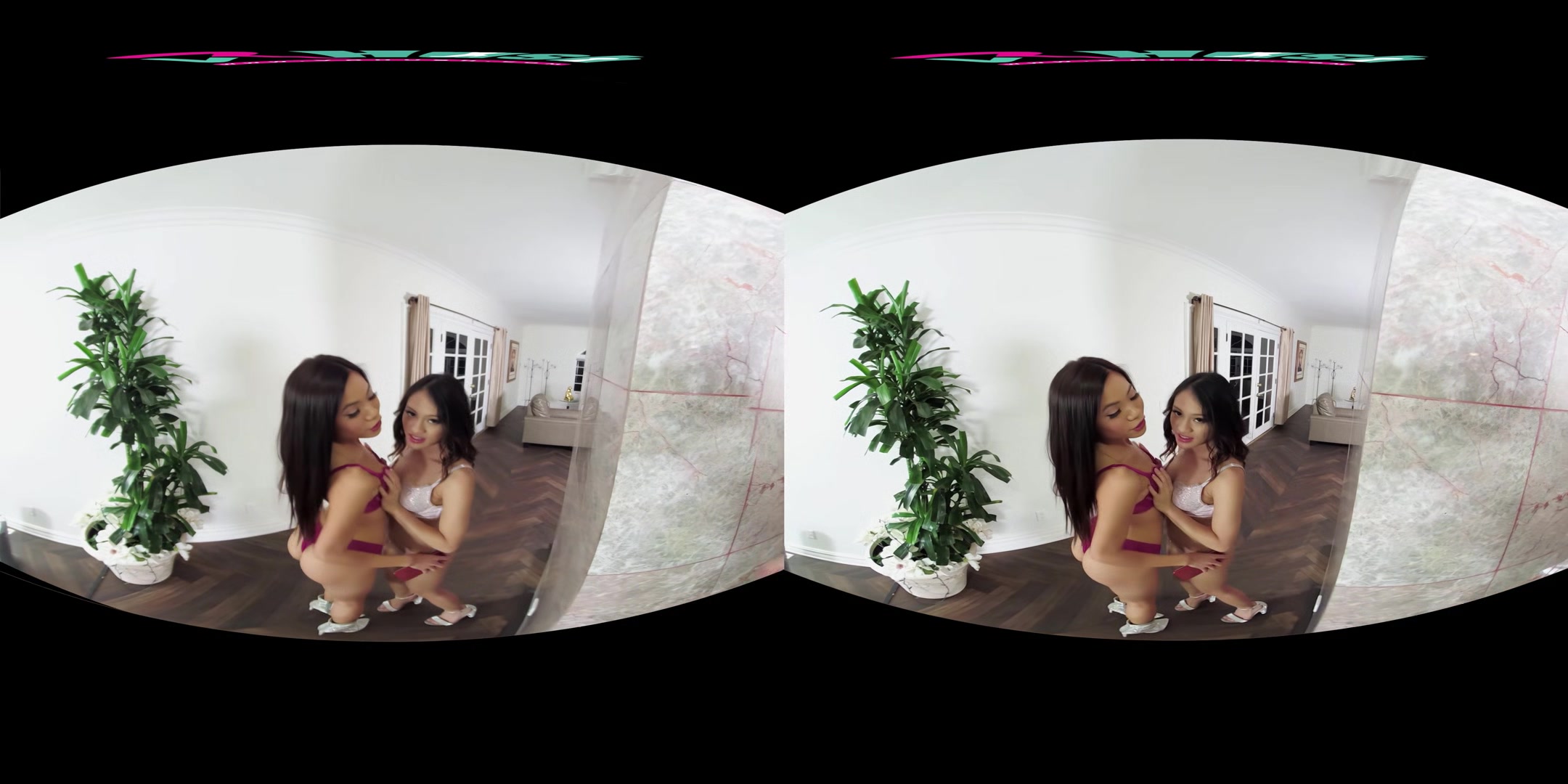 VRHUSH Vina Sky and Jasmine Grey share a cock