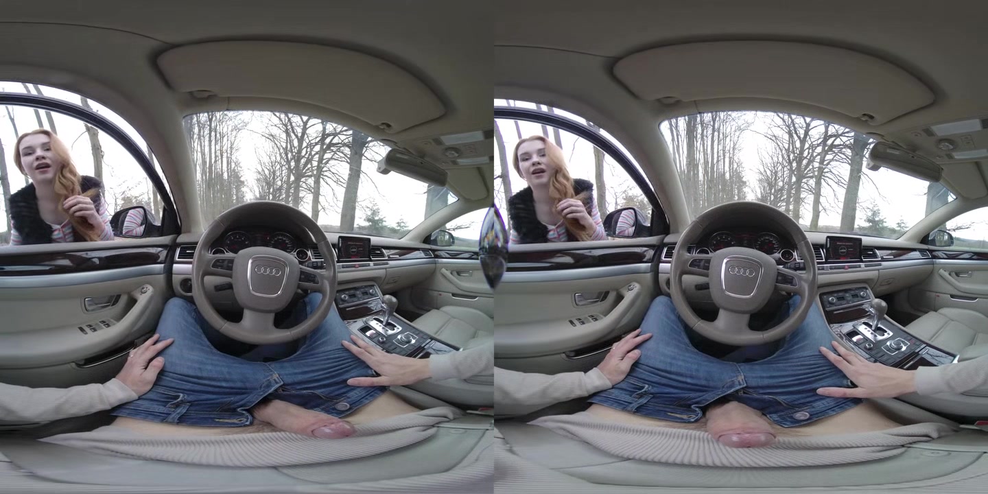 Beautiful and Horny Hitchhiker - PS-Porn