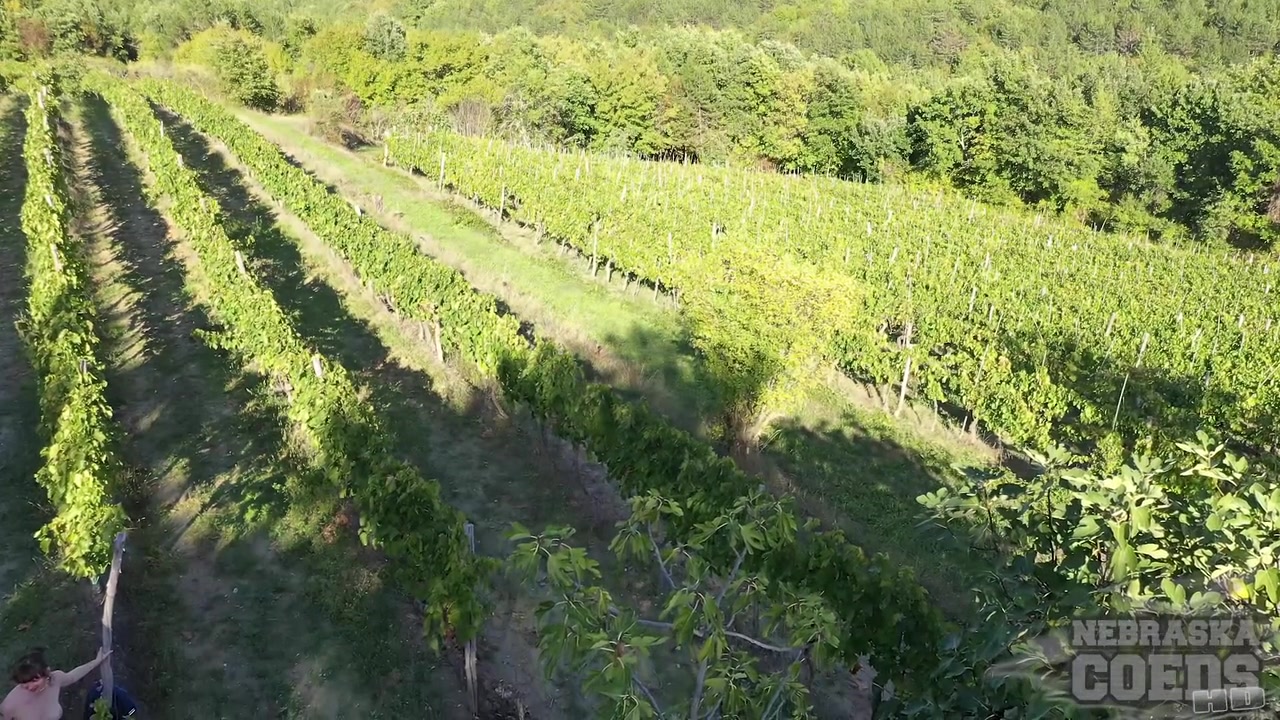 Grape Harvest In Italy Josie And Sofie Naked In The Vineyard Eating Grapes Nude Outdoors