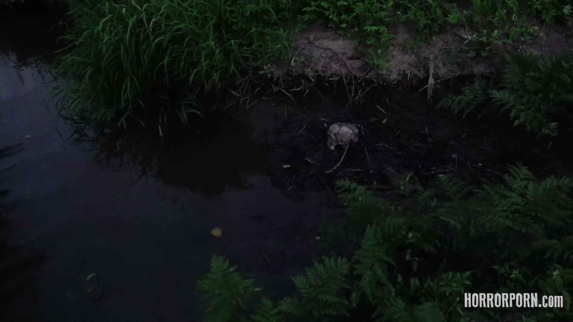 HORRORPORN - Predator Dick Hunter