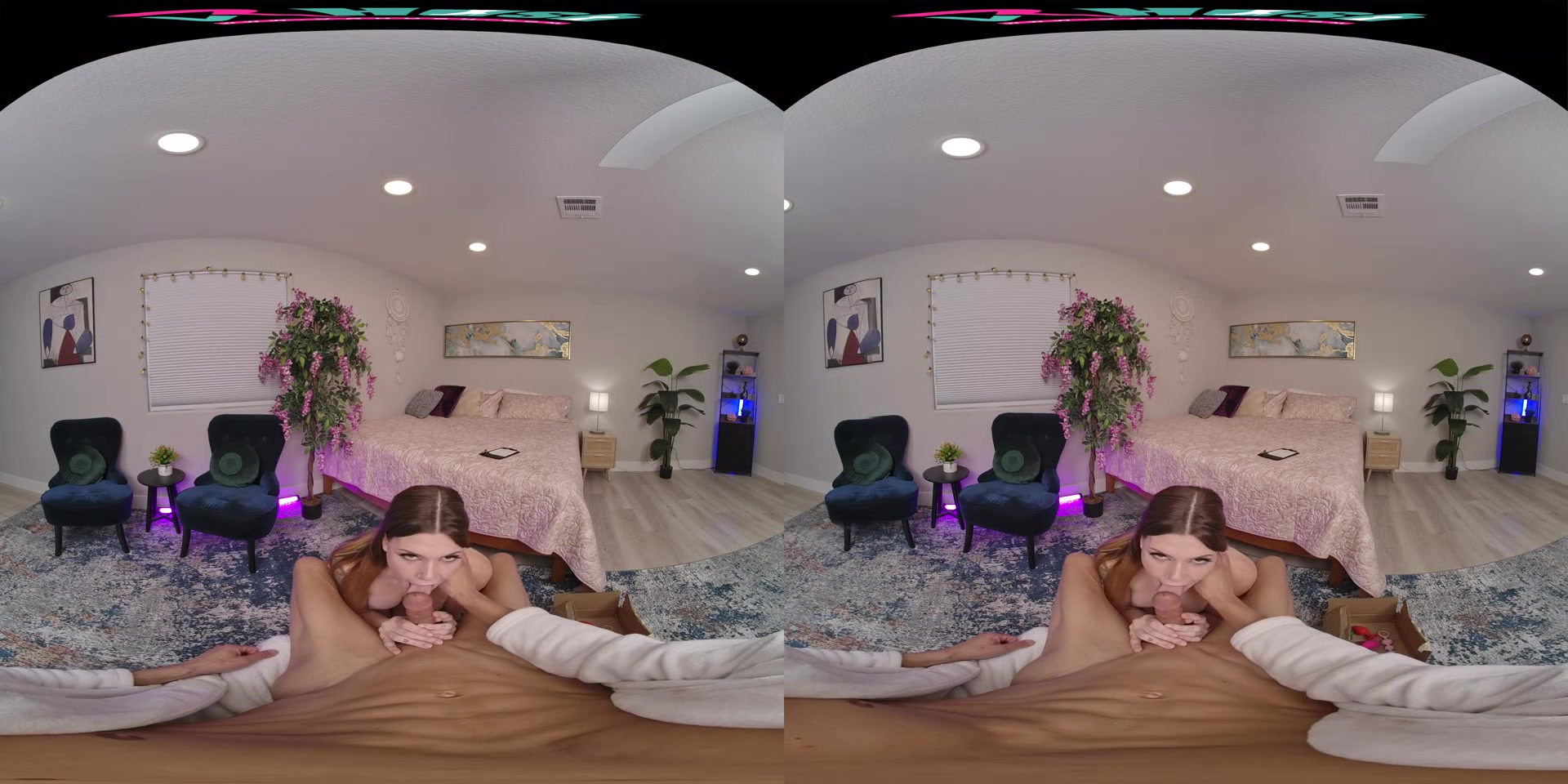 Alex Kane & David Lee - VR Porn Video