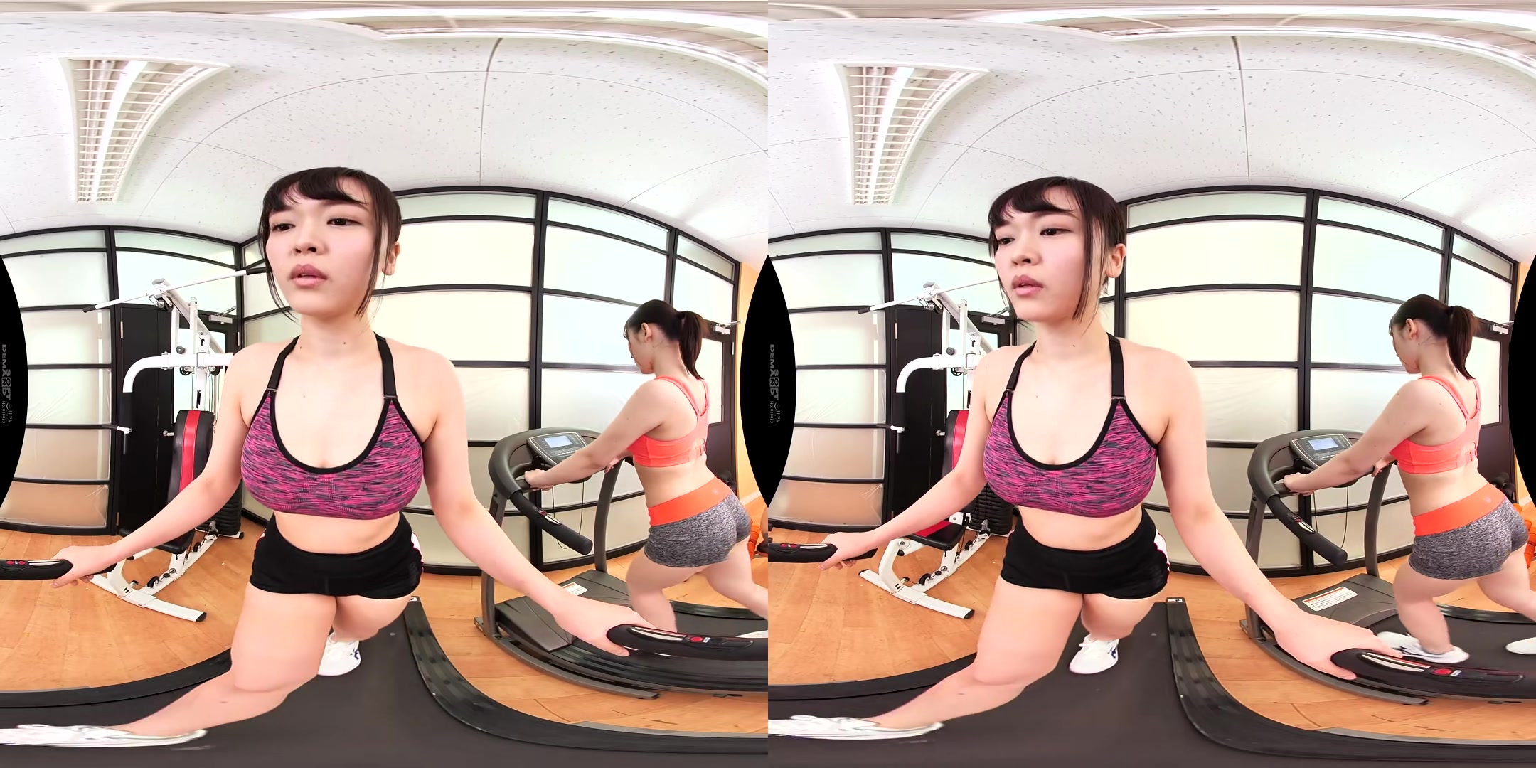 Big Tits Late at Night at the Gym - SodCreate