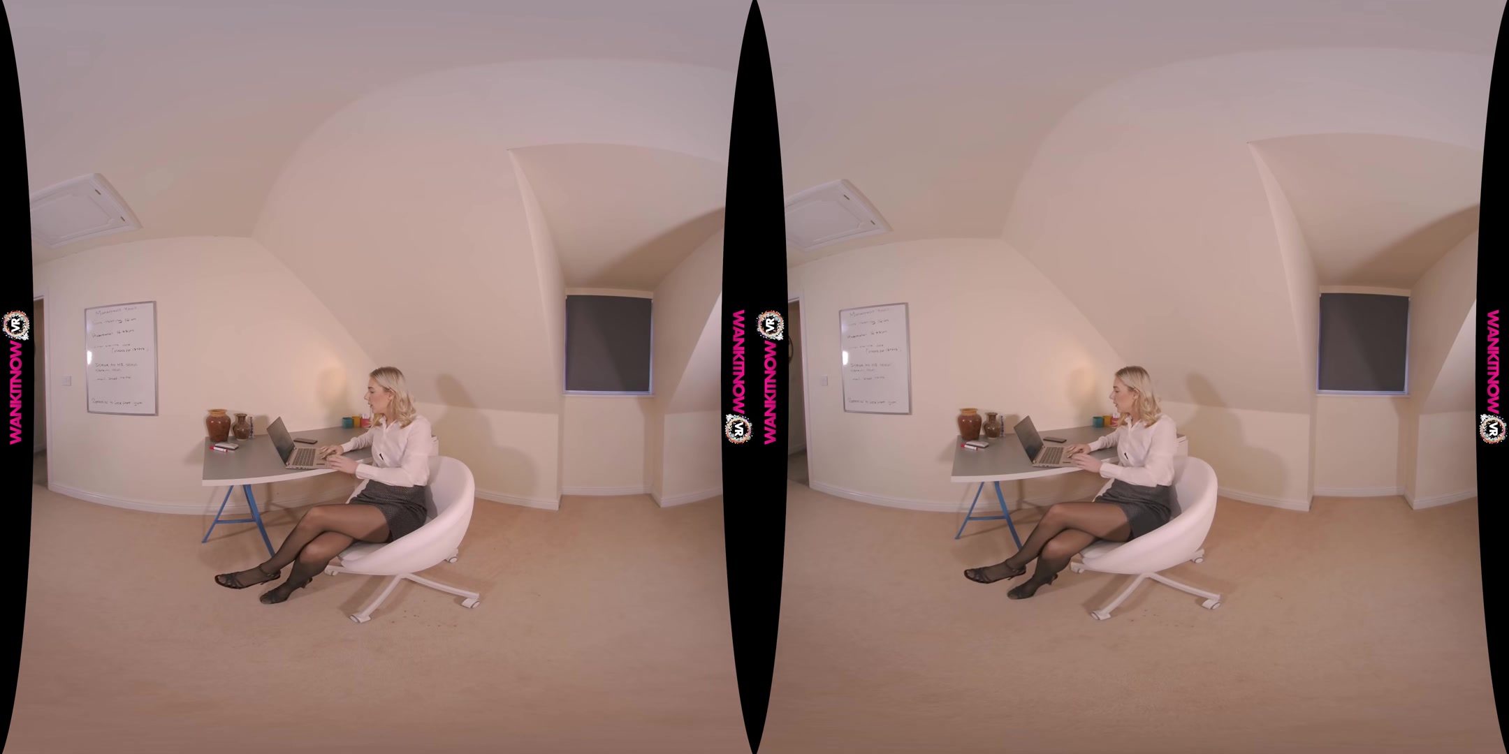 Payraise Persuasion - WankitnowVR