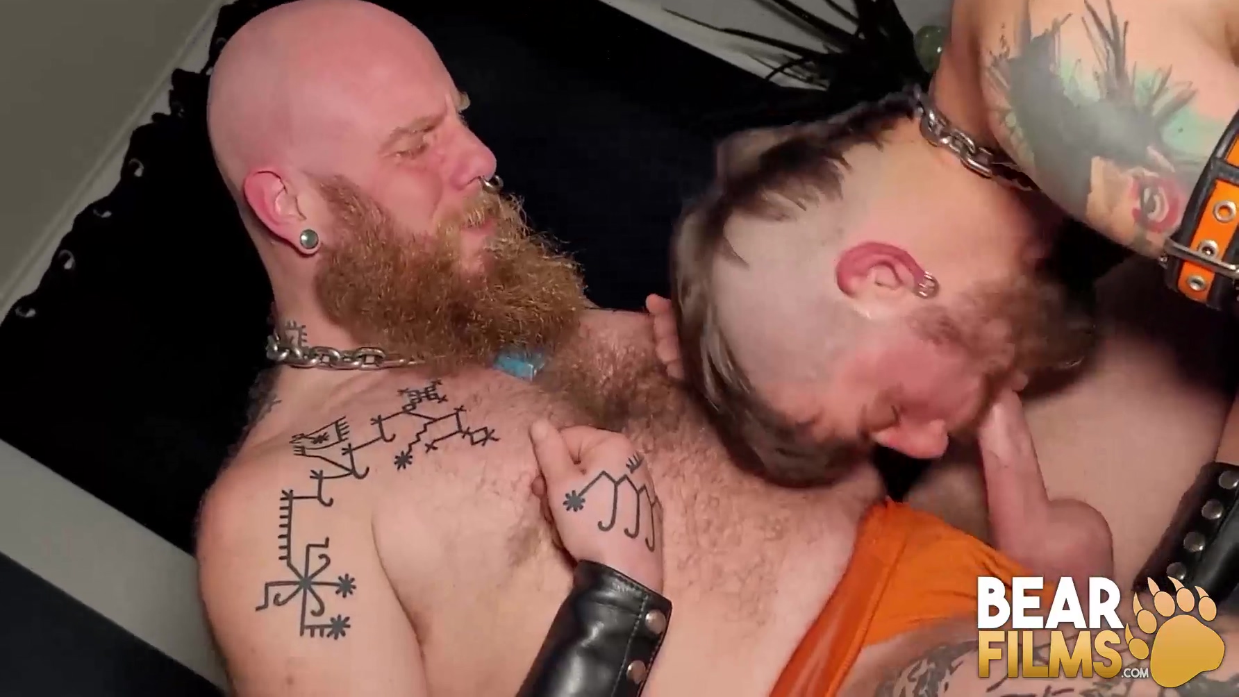 Hairy Bears Free Wolf And Fellball Bareback Hard