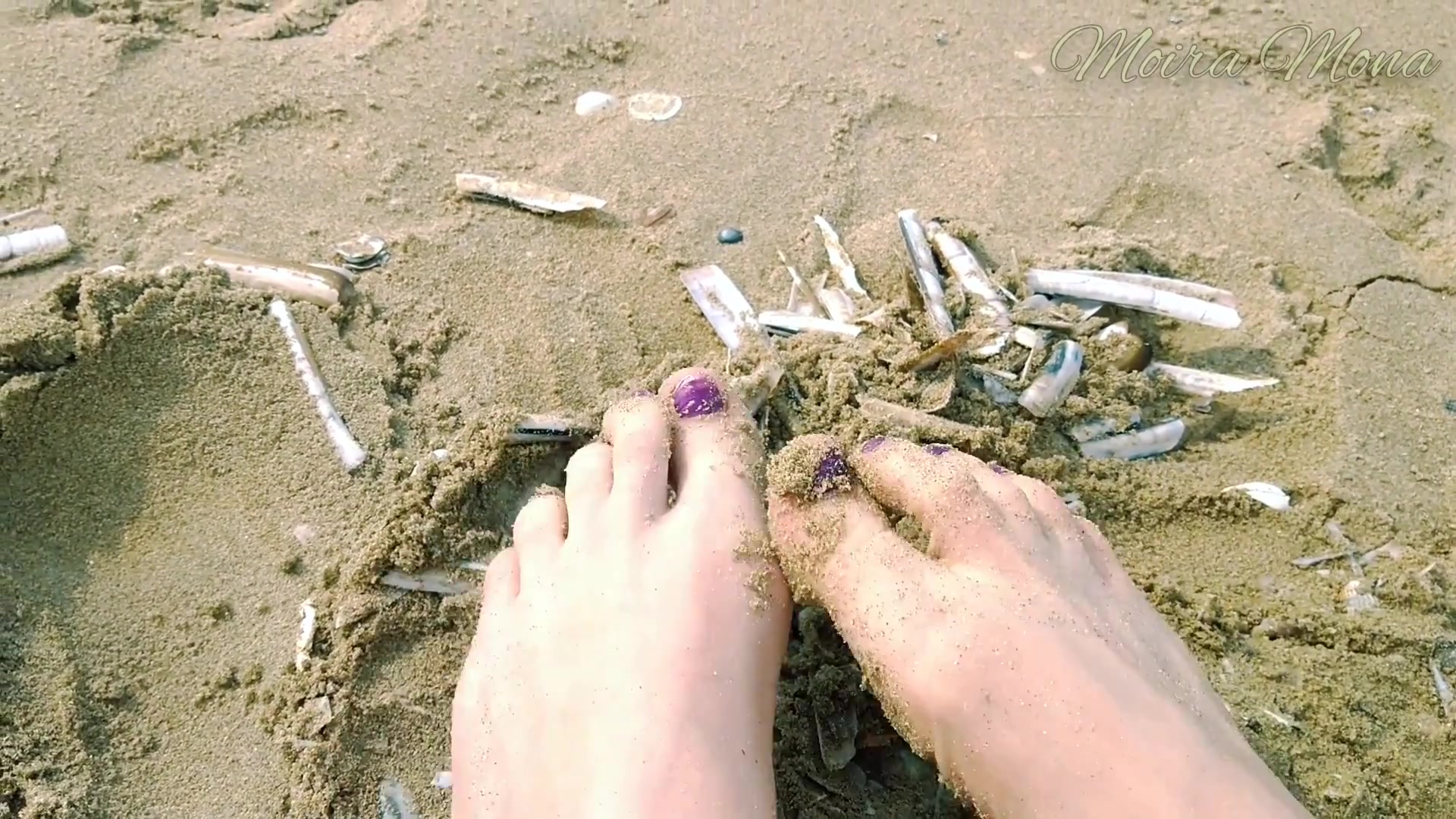 Sand And Shells Under My Feet