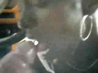 Black hussy sucks the life out of white dude's cock