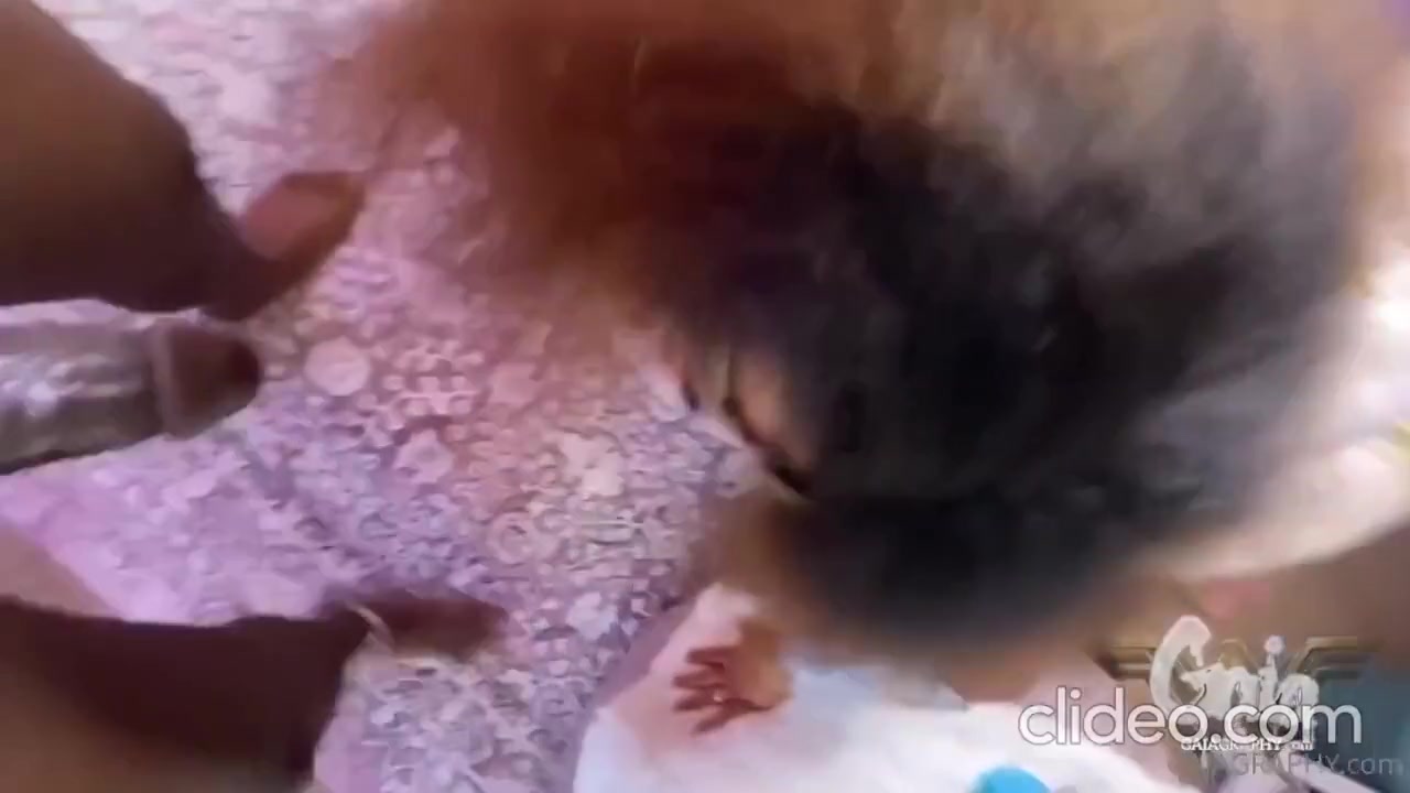 Suck Him Dry