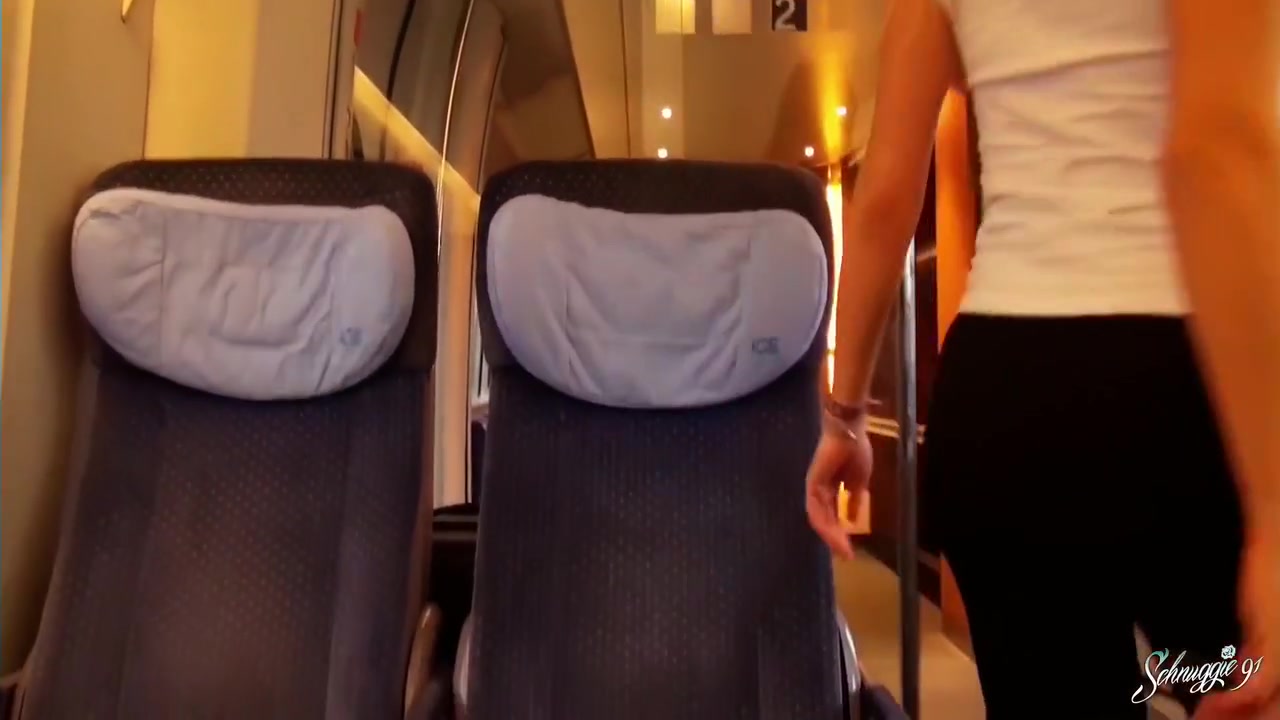 Notgeil Im Zug! Hattest Du Dich Getraut