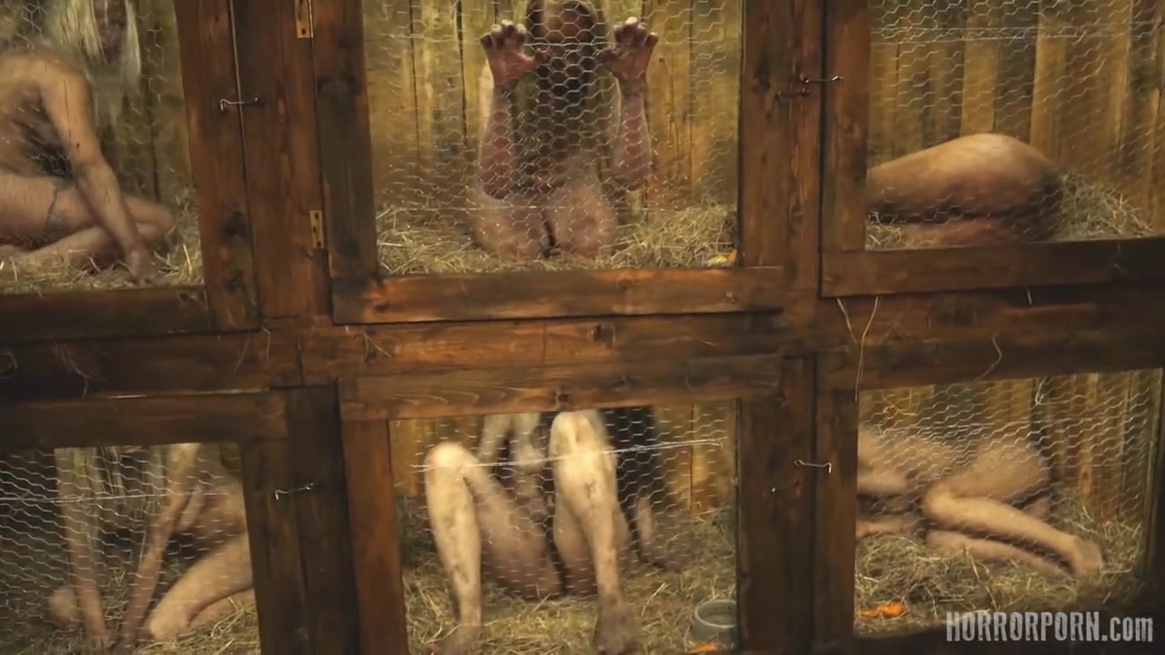 HORRORPORN - Rabbit hutch