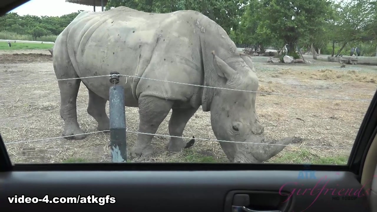 Moka Mora in Moka Is Having The Best Time Feeding Animals - ATKGirlfriends