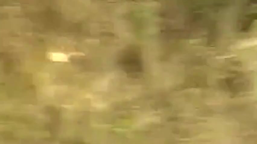 Three teens 18+ Down By The River Group Fuck