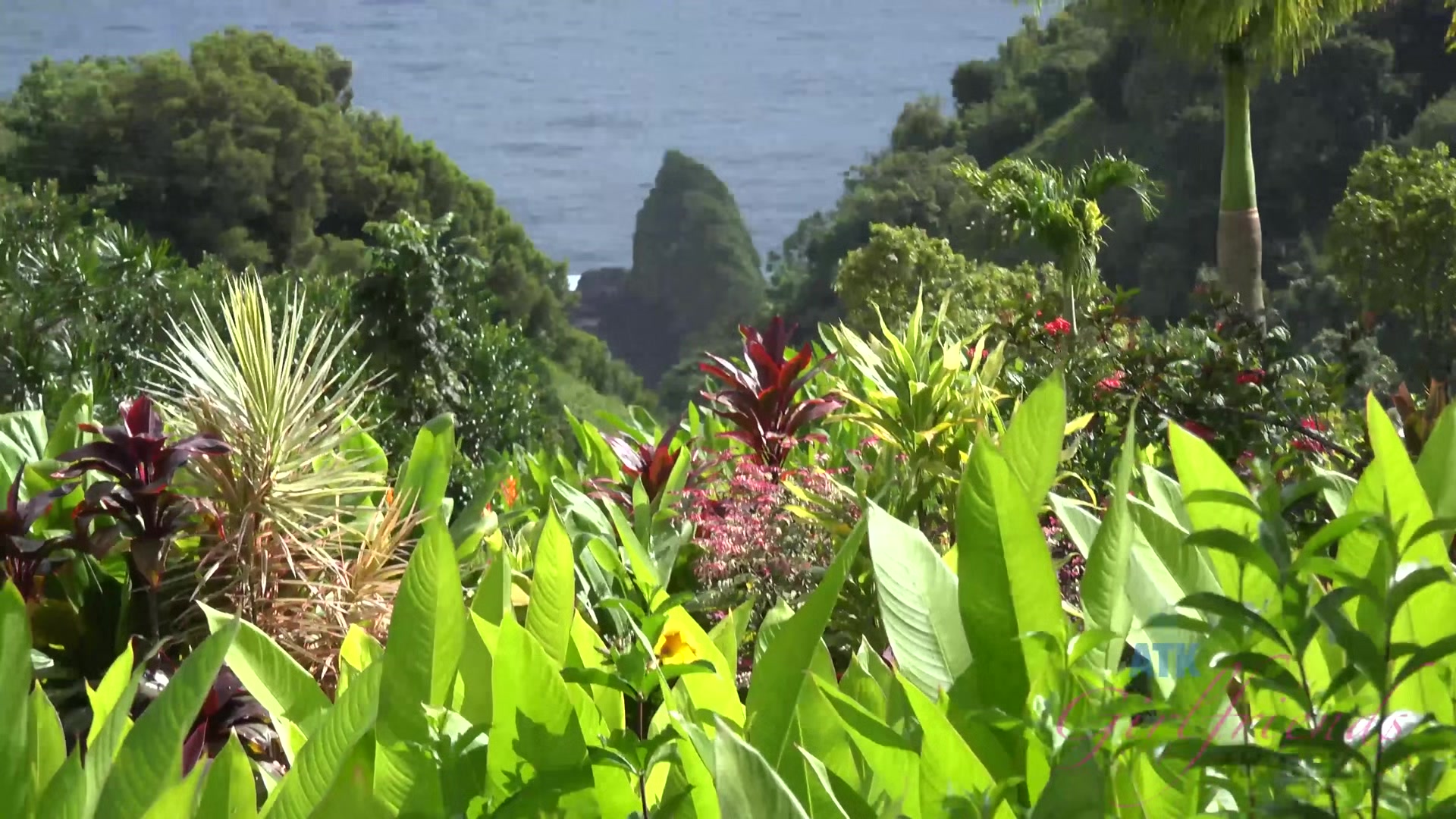 Virtual Vacation In Hawaii With Rococo Royalle Part 5