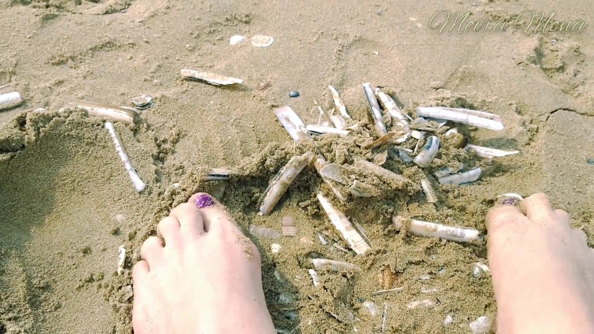 Sand And Shells Under My Feet