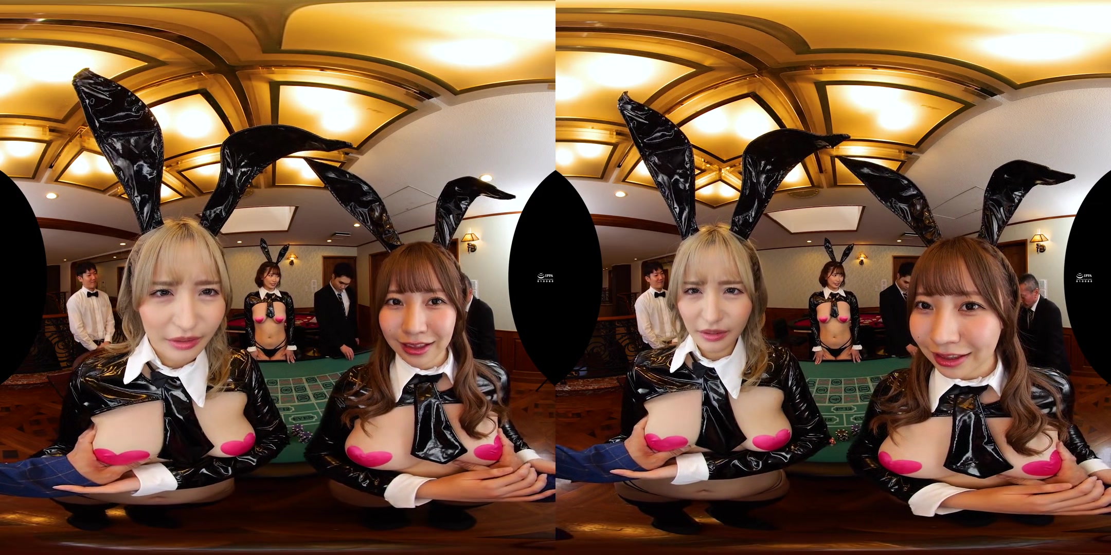 Luxury Japanese Ocean Liner Secret Backstage Reverse Bunny Harem