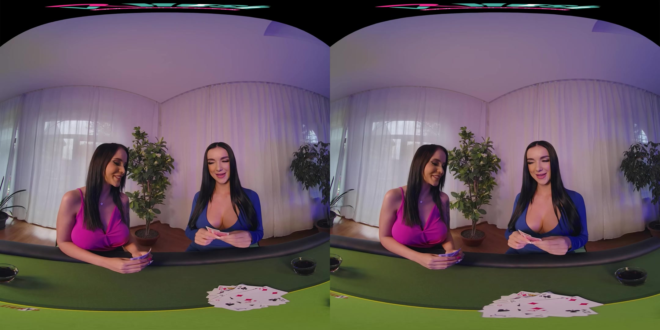 Lock, Stock and Two Smoking Hot Babes - VRHush