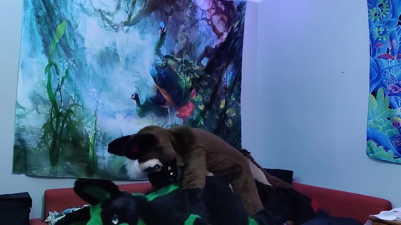 Sheppie Bangs A Bunny And Makes Him Cum Fursuit Yiff