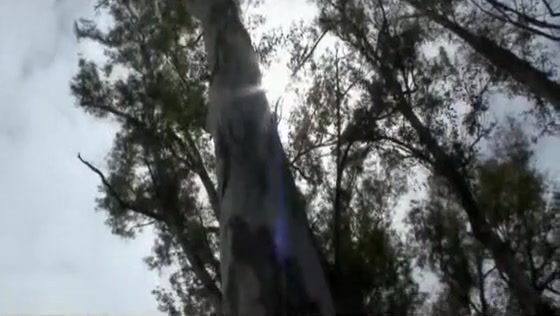 Crazy homemade shemale clip with Outdoor, Solo scenes