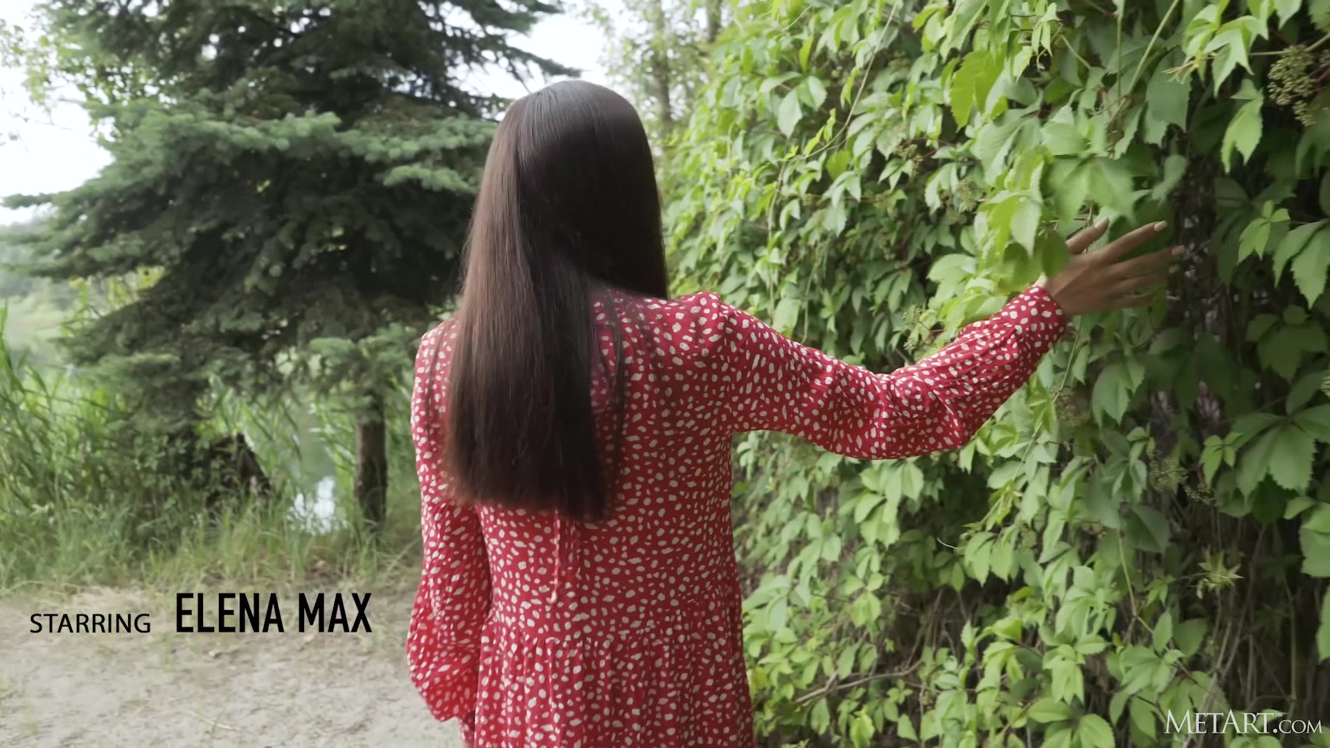 Walk In The Woods - Elena Max