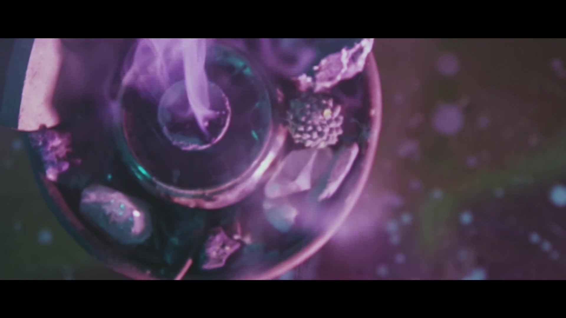Shine White - 2019