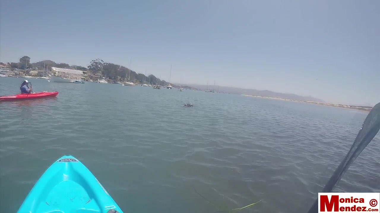 Monica Mendez - Kayak Flash 1