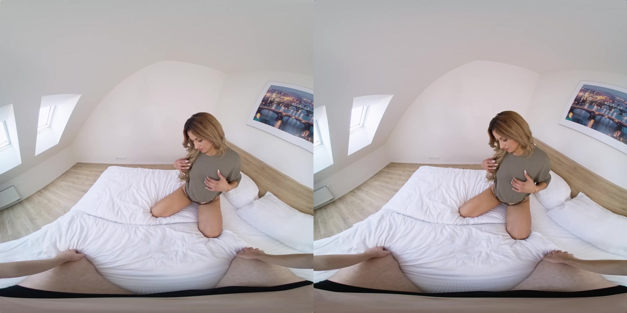 Cozy Snow Day - VirtualRealPorn