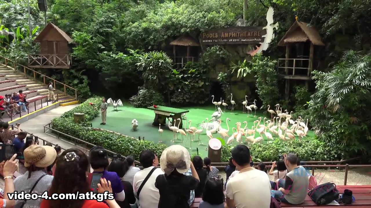 Elena Koshka in You Take Elena To The Wild Animal Park After She Gets Wild - ATKGirlfriends