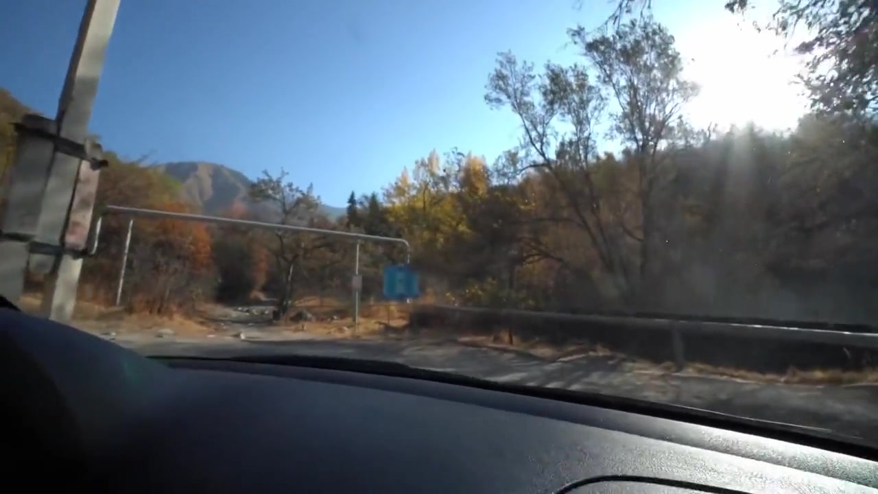 Tourist Sucks Friend In Nature Outdoor Cum In Mouth In Car