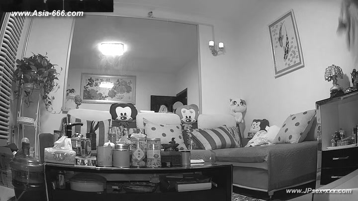 Hackers use the camera to remote monitoring of a lover's home life.286