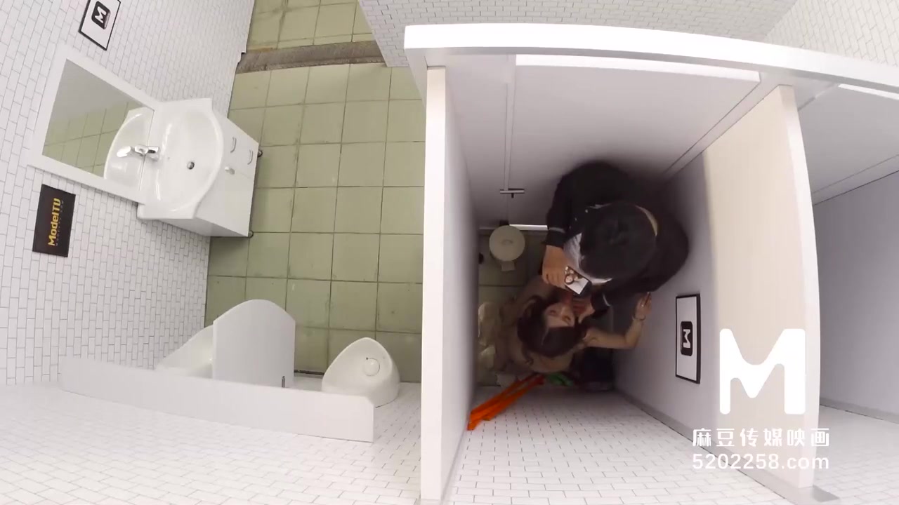 Sanitary Partitions Are Hard To Stop Passion Sex-mdwp-0022