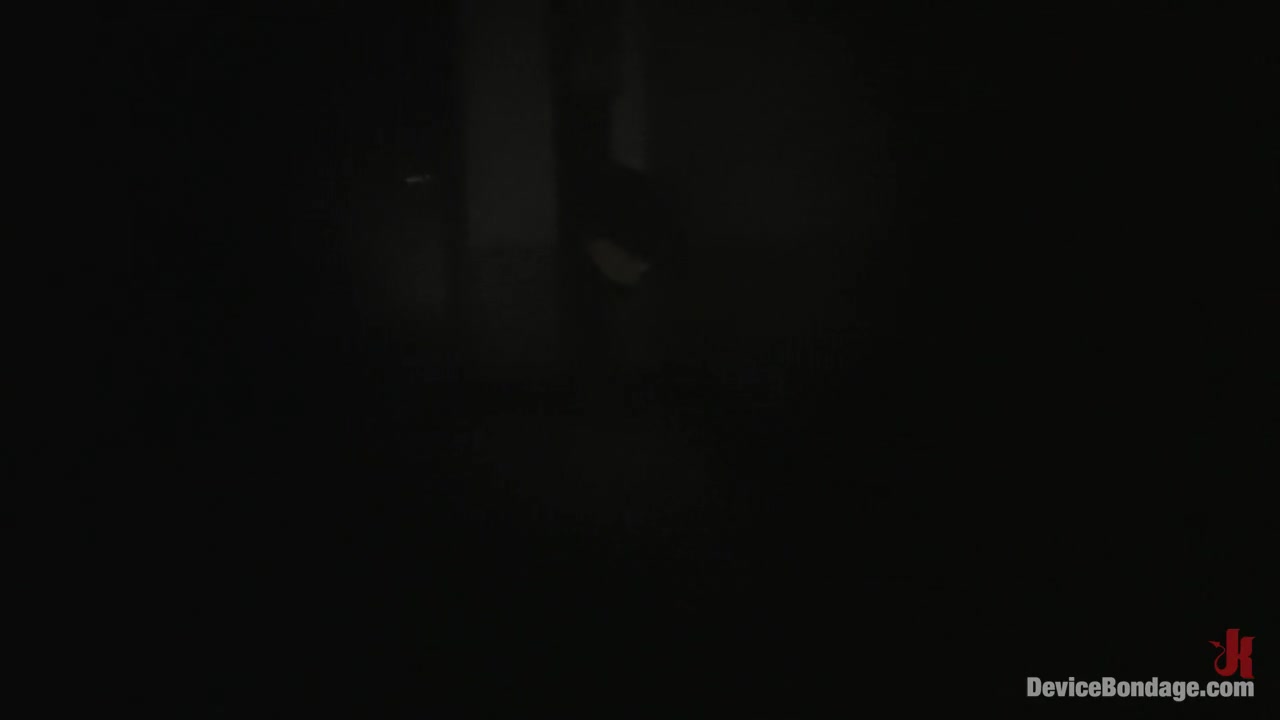 Boxed Bitch