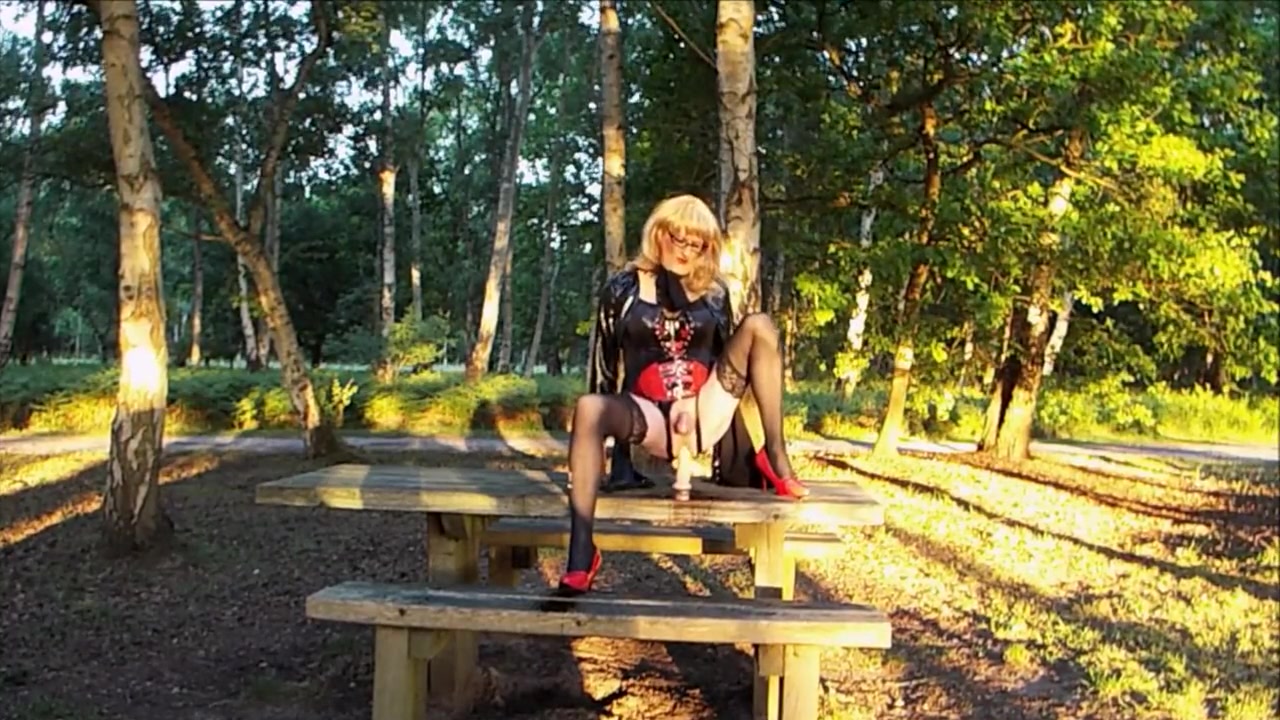 CD Gina Fun in the Forest