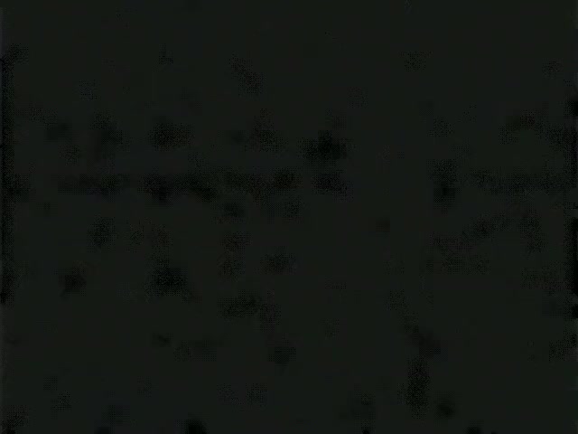 Teenage lady-boys 13 - Scene 1