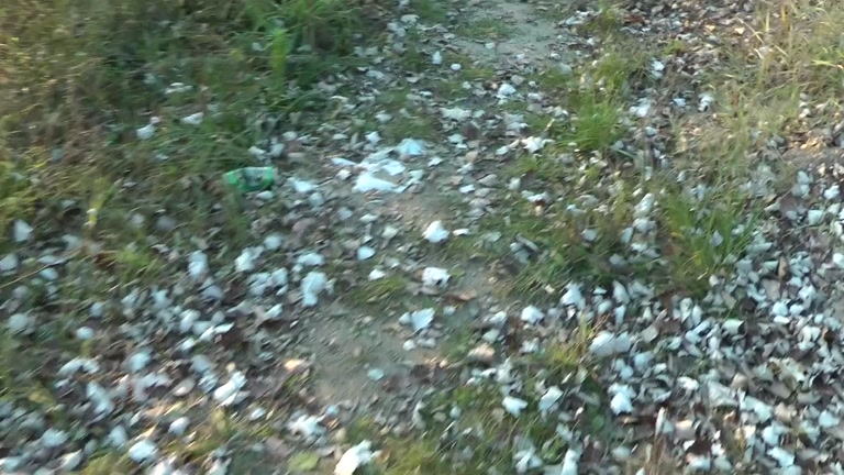 Blonde sucking near the lake