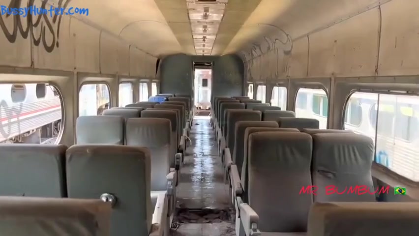 Bum Bum In Mr Brazil Fucked Raw In Train