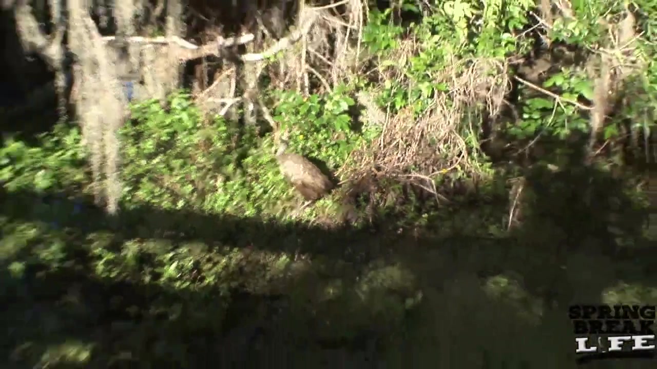 Allie Naked Scavenger Hunt All Day Around Tampa Florida - SpringbreakLife