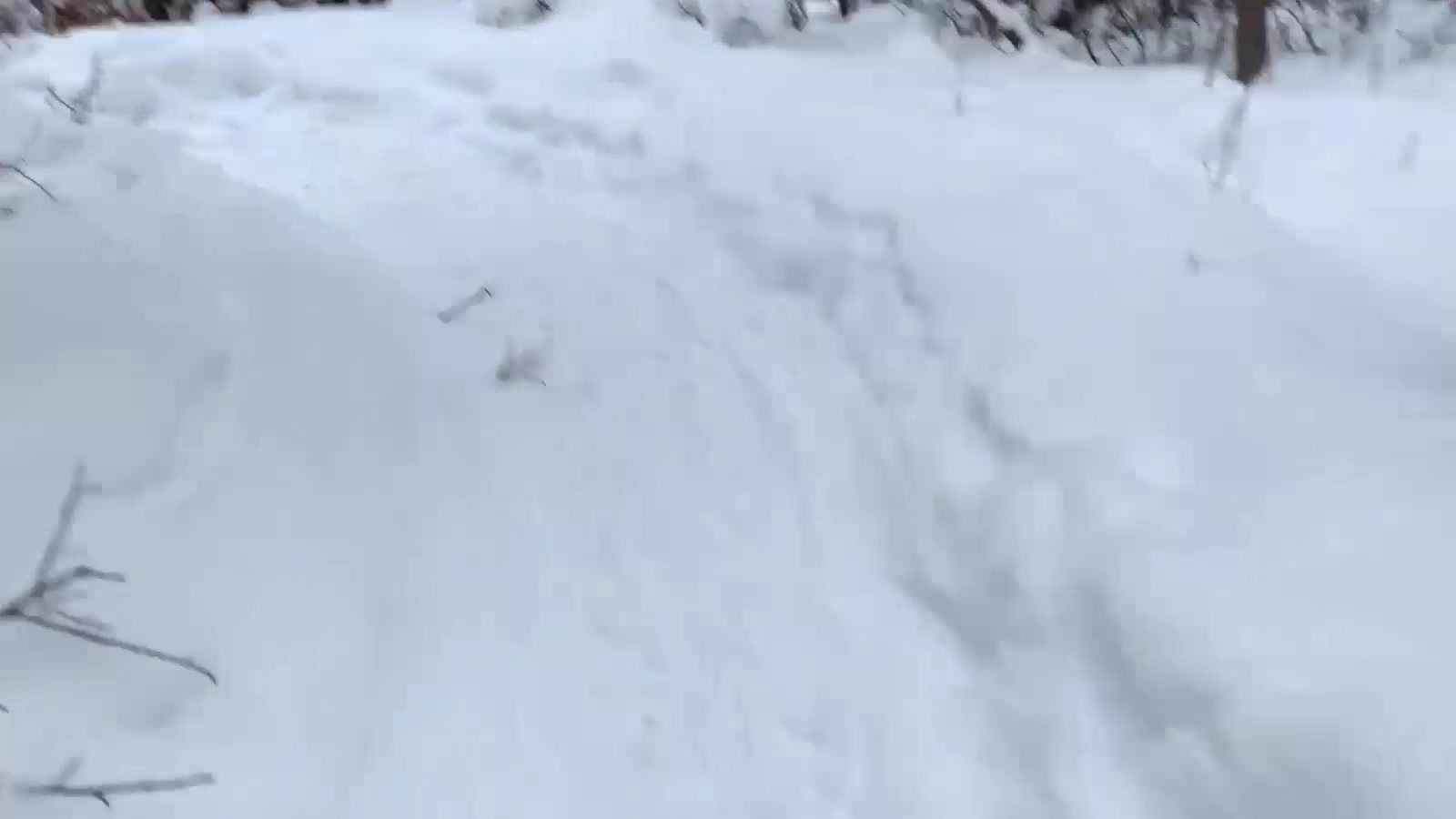 Maverick Men Fuck Me In The Snow