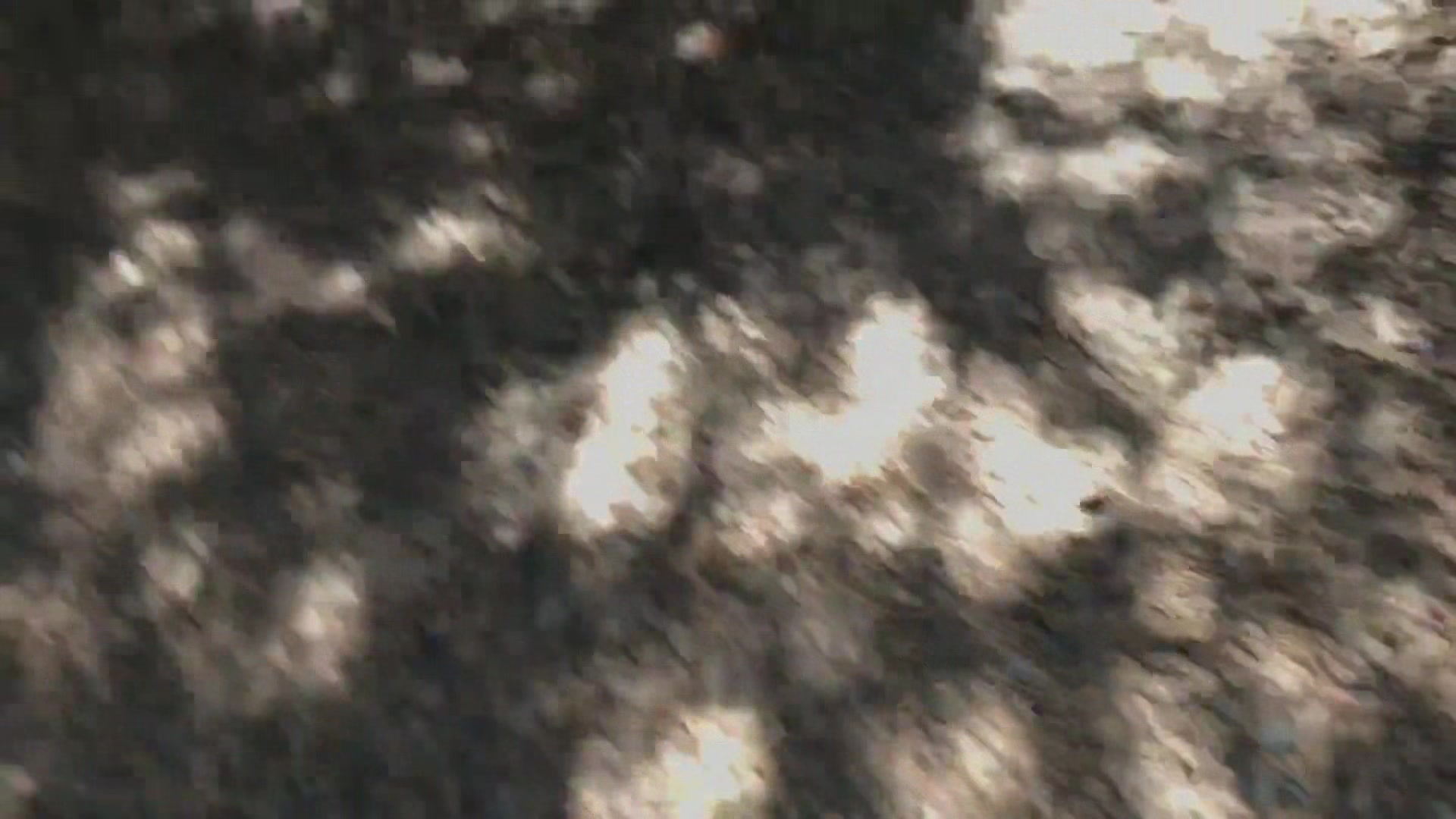 Girl Gets Her Ball From The Neighbor And Gets A Good Balling