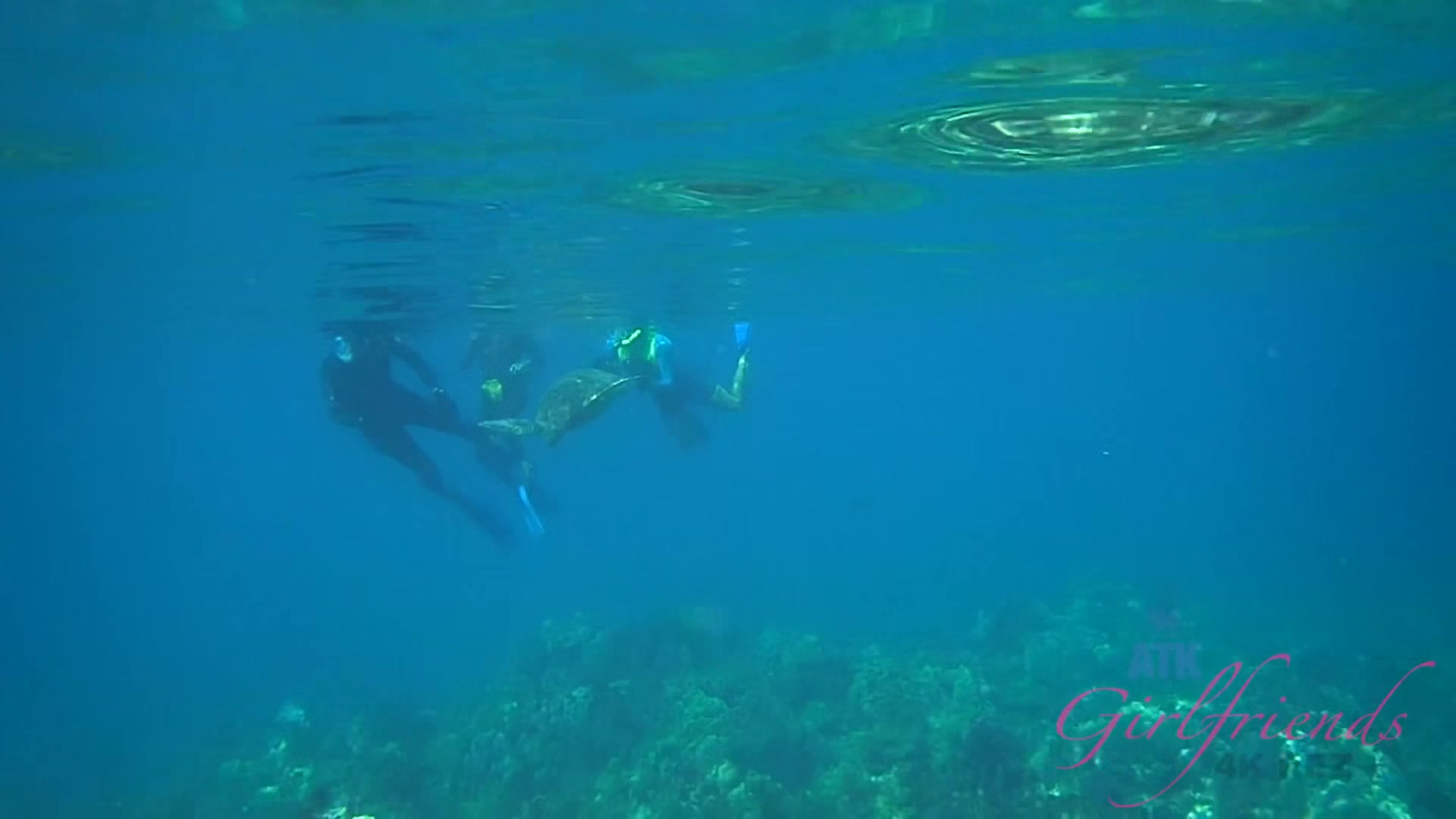 Virtual Vacation Hawaii With Emma Hix 14/16