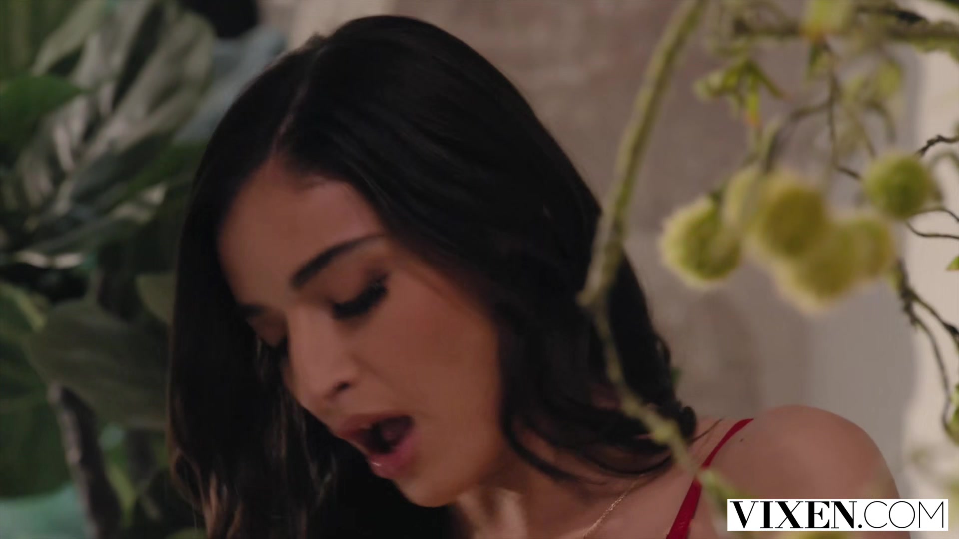 VIXEN Pampered models want more from Step daddy