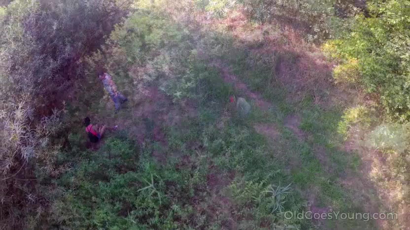 Excited lovers fuck hard on green grass.